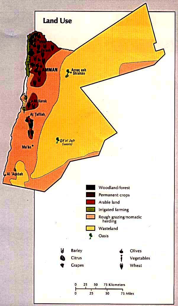 Map Of Jordan Land Use (83k)