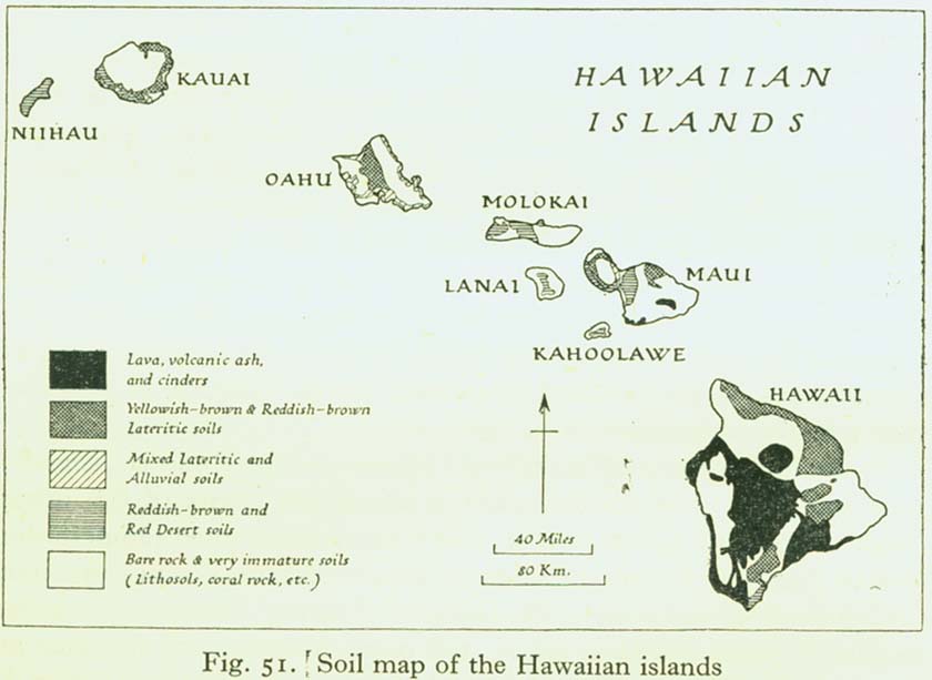 the Hawaiian Islands (72K)