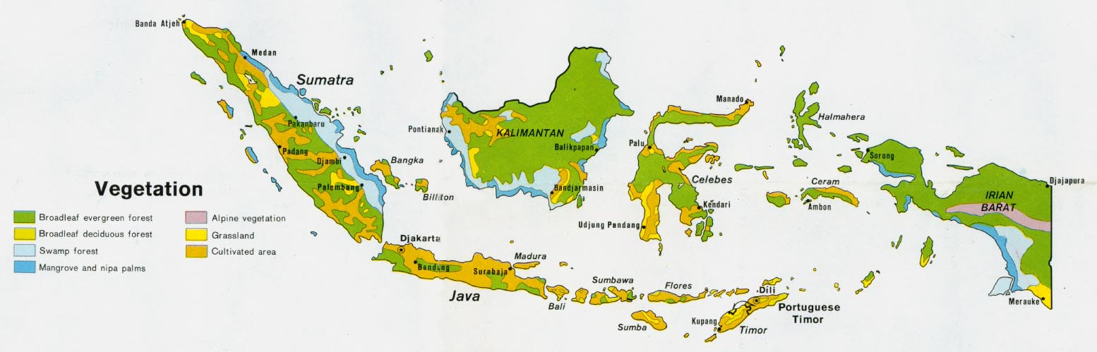  Indonesia - Vegetation from Map No. 500869 1972 (112K)