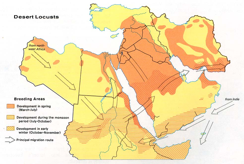 map of libyan desert. Middle East - Desert