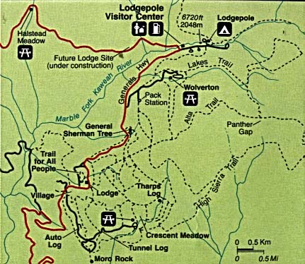 http://www.lib.utexas.edu/maps/national_parks/giant_forest_area.jpg