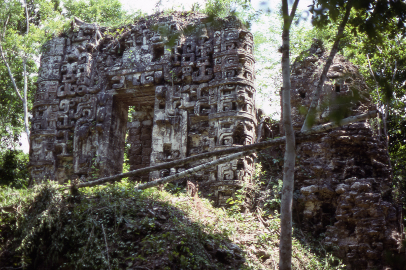 The image is a photograph of an ancient Mayan structure, made of stone and surrounded by plants and trees. The stone is intricately carved with figures and symbols.  The structure seems to be a ruin, crumbling and overgrown.  From the George and Geraldine Andrews 