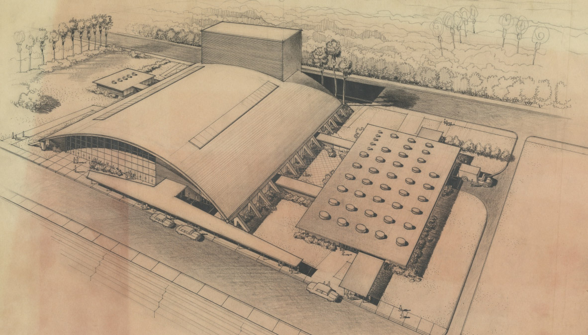 The image shows a pencil rendering of an arial view of the Corpus Christi civic Center, part of the Colley Associates Architects and Engineers collection