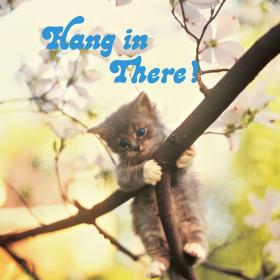 classic hang in there meme. kitten hanging from tree branch, 70s feel.