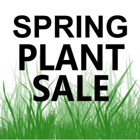 Plant Sale graphic. Black text over illustration of vegetation.