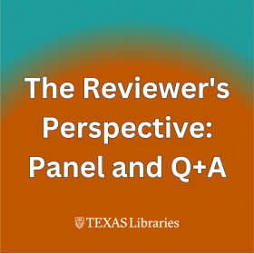 The Reviewer's Perspective Panel and Q+A