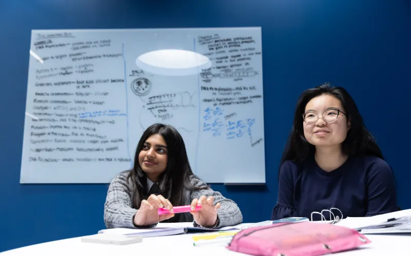 Two students siting in a study room with a white board behind them with writing on it